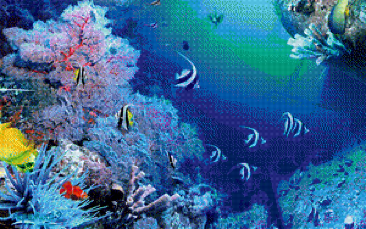 подводный мир - риф, море, рыбы - предпросмотр
