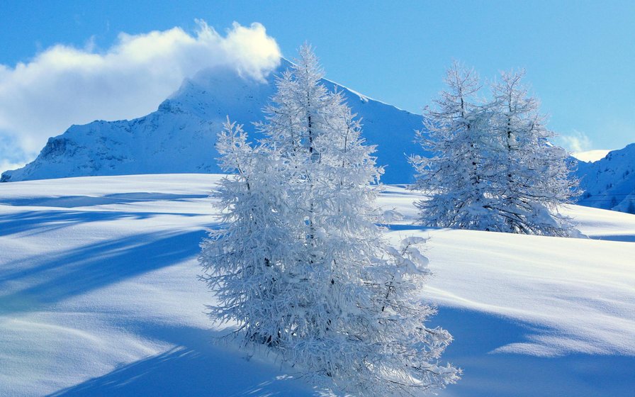 зимняя сказка - зима, природа, деревья, горы - оригинал