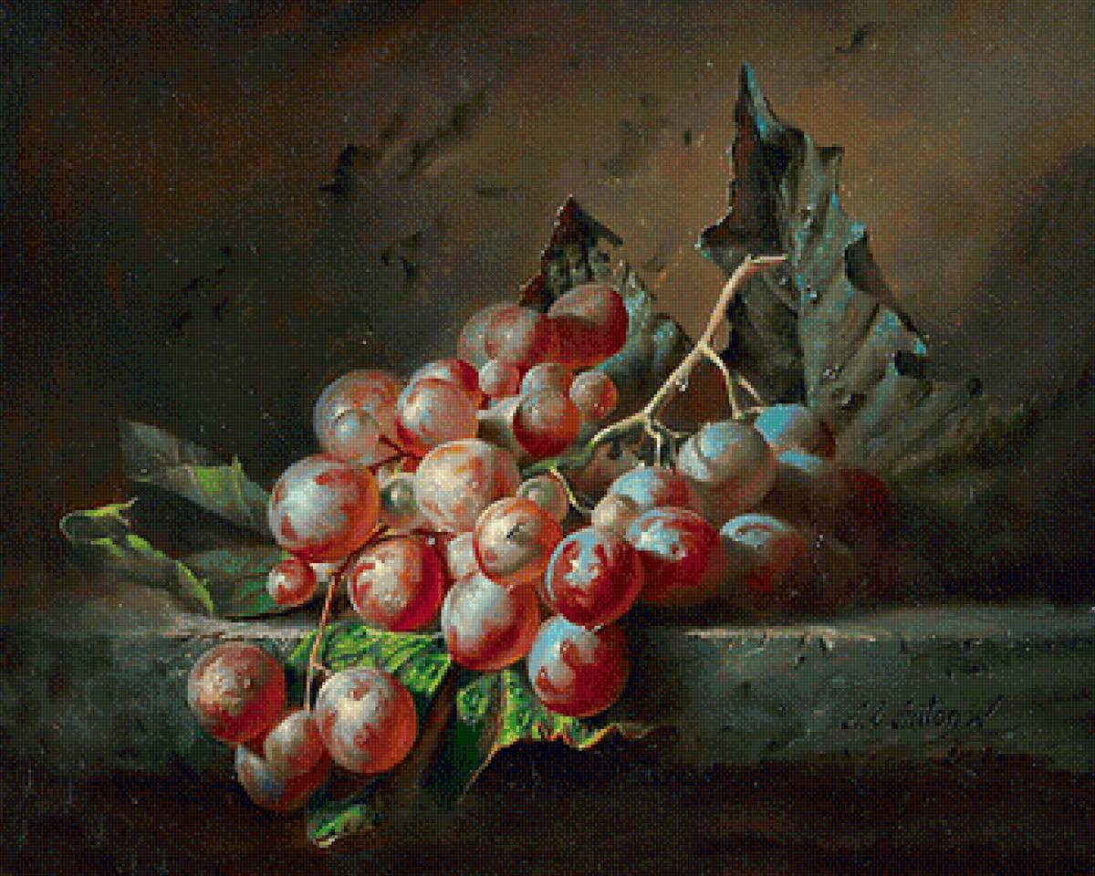 натюрморт - натюрморт. виноград. кухня - предпросмотр