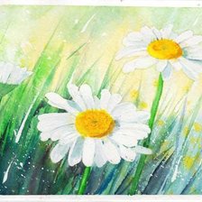 Схема вышивки «Ромашки»