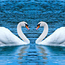 Схема вышивки «идеальная пара»