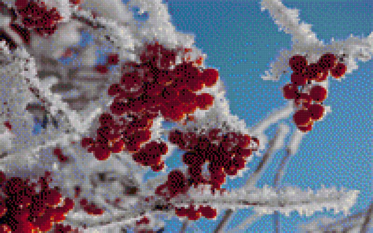 зимняя сказка - зима, снег, ягоды - предпросмотр