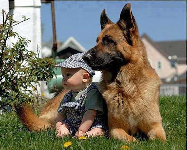 дети и животные - дети - оригинал