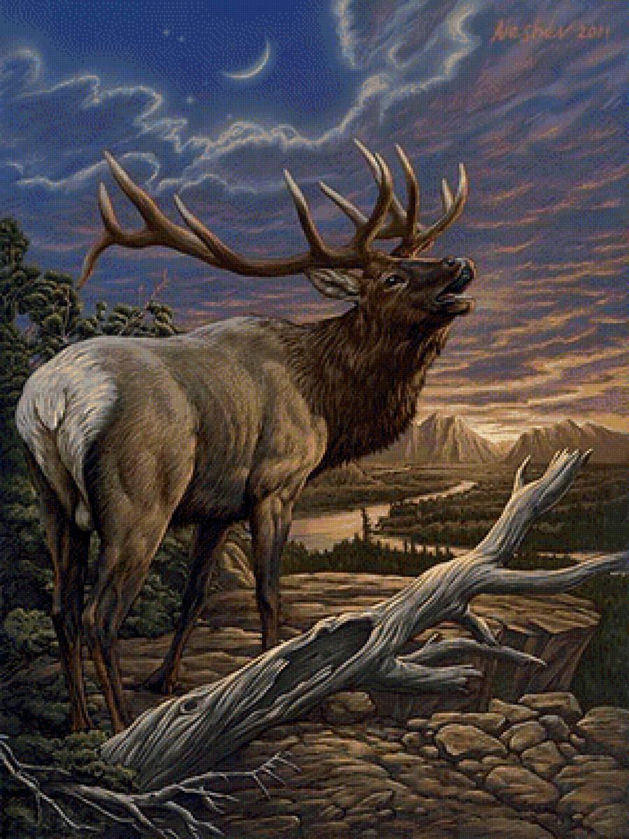 №1305737 - предпросмотр