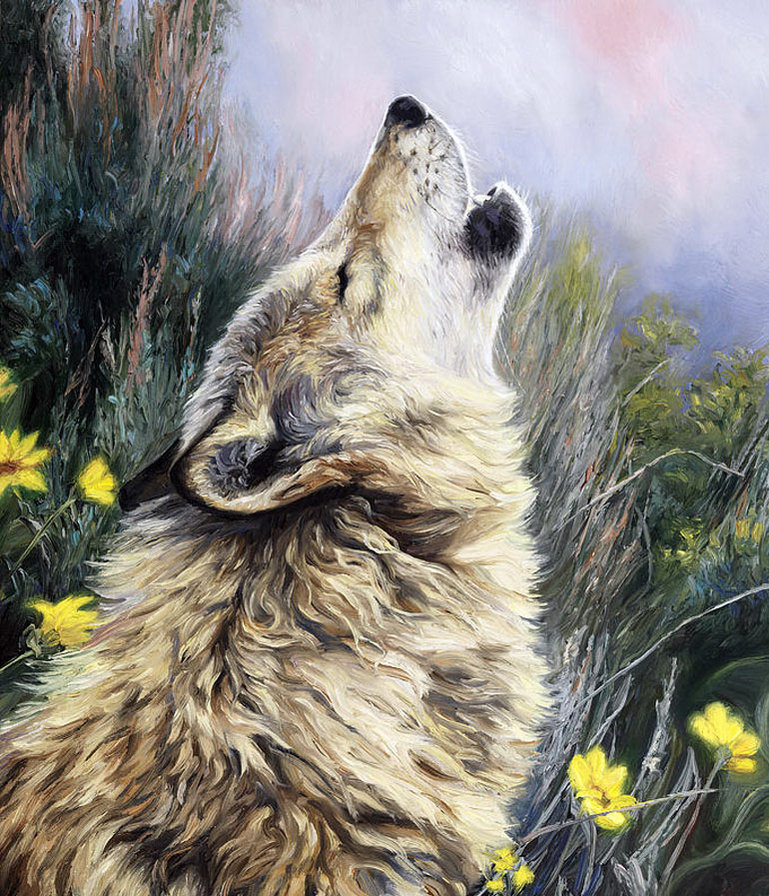 волк - животные, волки, звери - оригинал