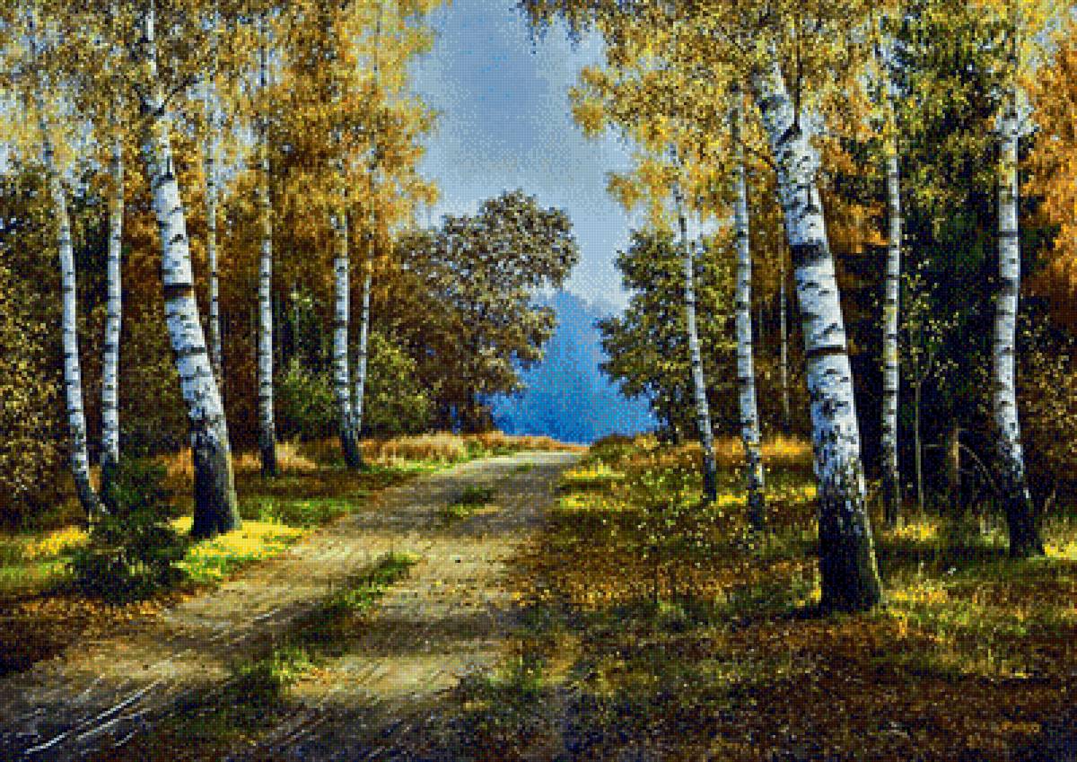 пейзаж - лес, природа, пейзаж, березы - предпросмотр