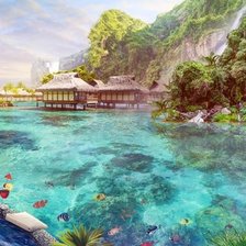 Схема вышивки «екзотика»