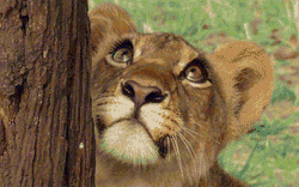 львёнок - львенок, животные, звери, природа, львица, лев - предпросмотр