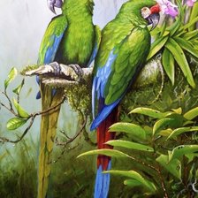 Схема вышивки «zelený papagáji»