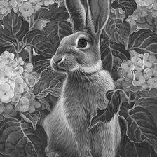 Схема вышивки «№1306694»