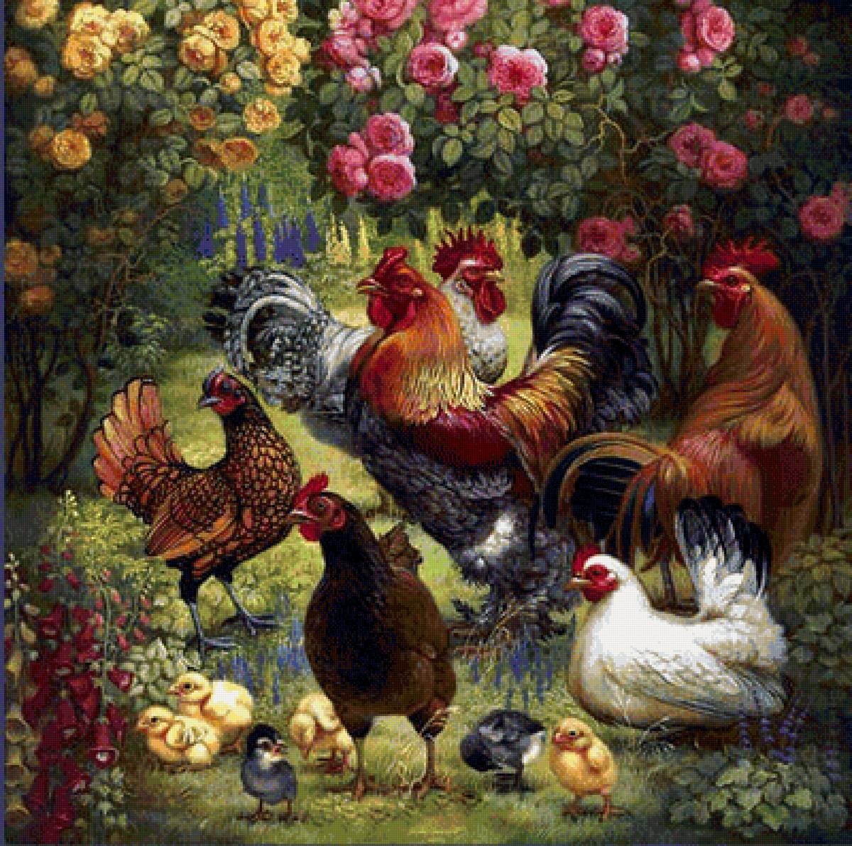 Птичий двор - птицы - предпросмотр