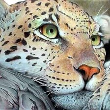 026 леопард