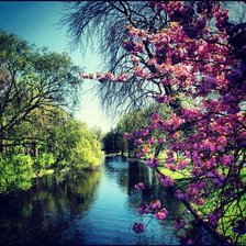 Схема вышивки «№1308199»