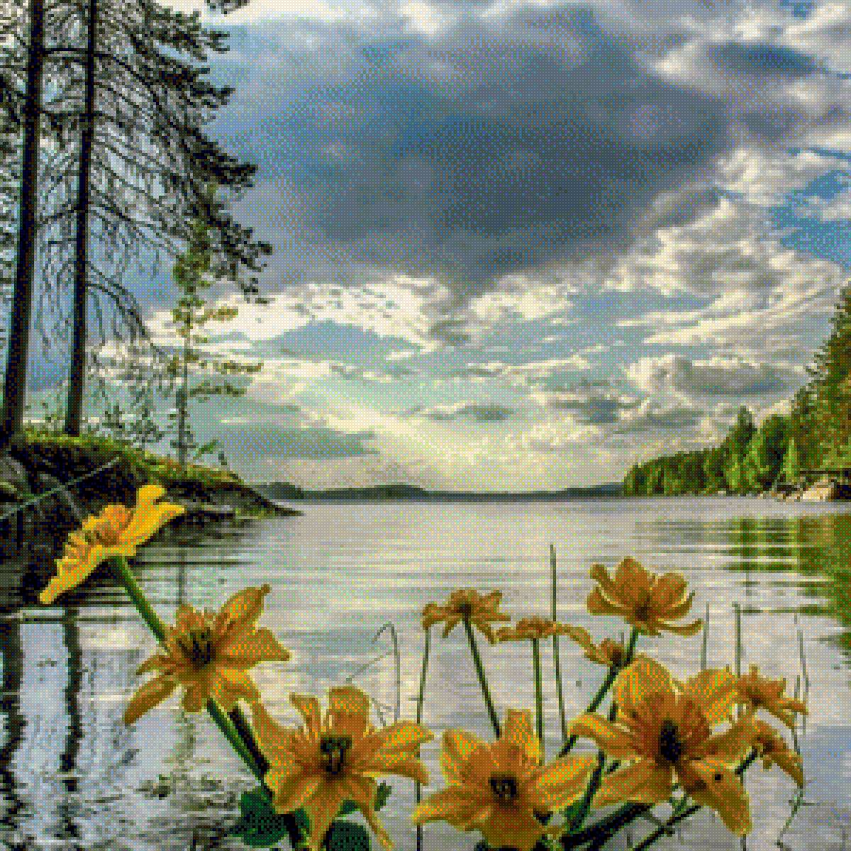 №1308201 - предпросмотр