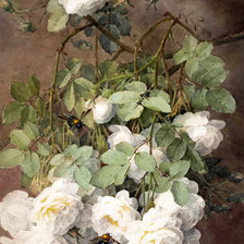 Оригинал схемы вышивки «белые розы» (№1308415)