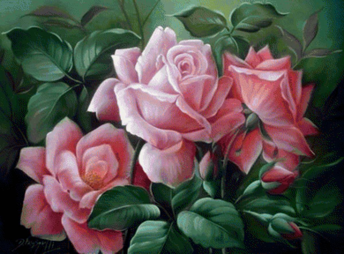 tri ružové ruže - предпросмотр