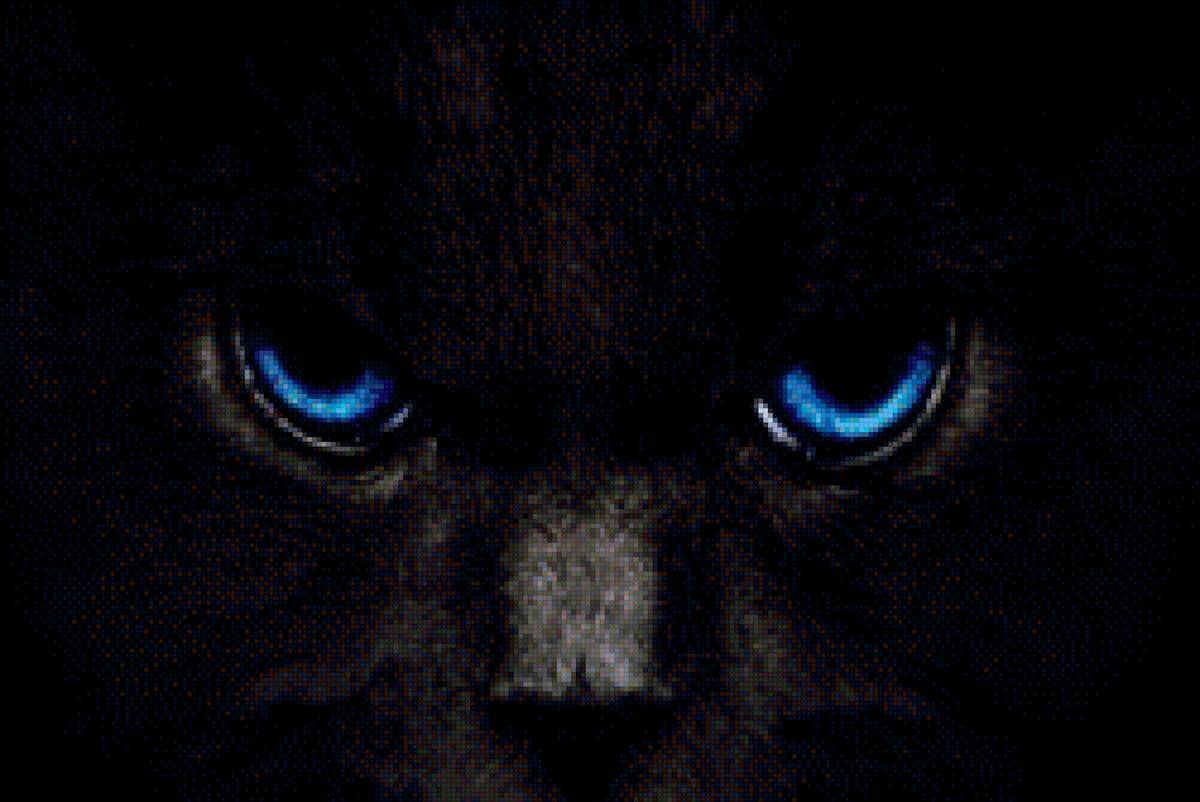 взгляд - кошки, животные - предпросмотр