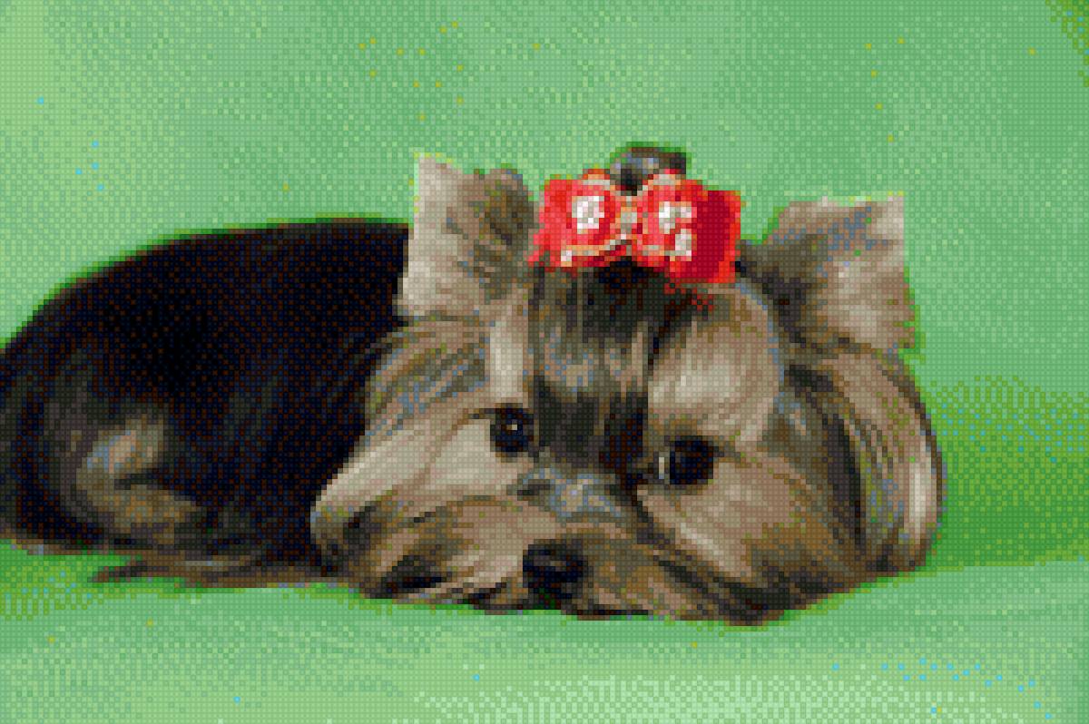 терьер - предпросмотр