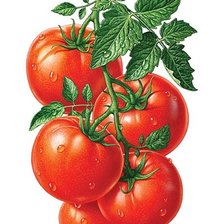 Схема вышивки «382»