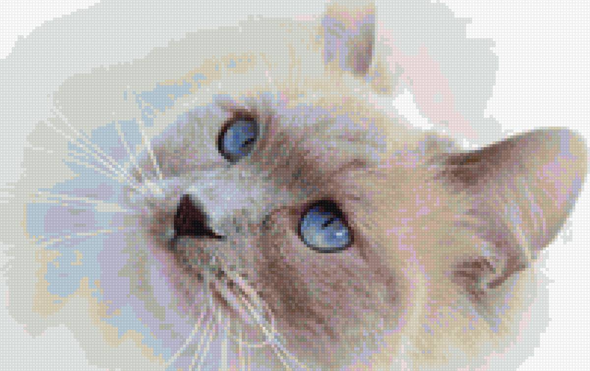 Пушистая кошка с голубыми глазами - кот, животные, кошка - предпросмотр