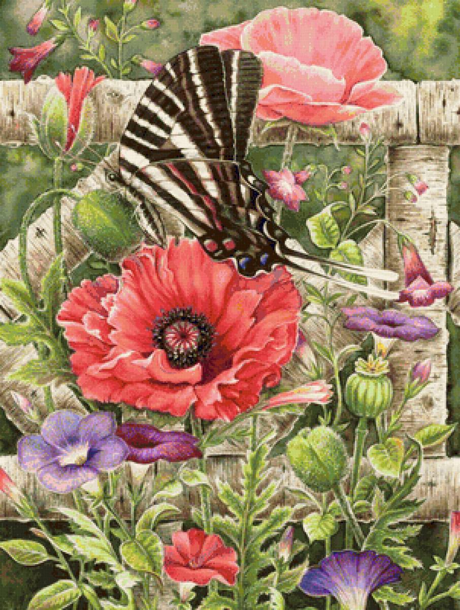 Бабочка с маком - мак, цветы, бабочка, полевые цветы - предпросмотр