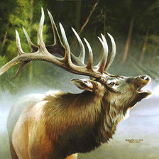 Схема вышивки «олень»