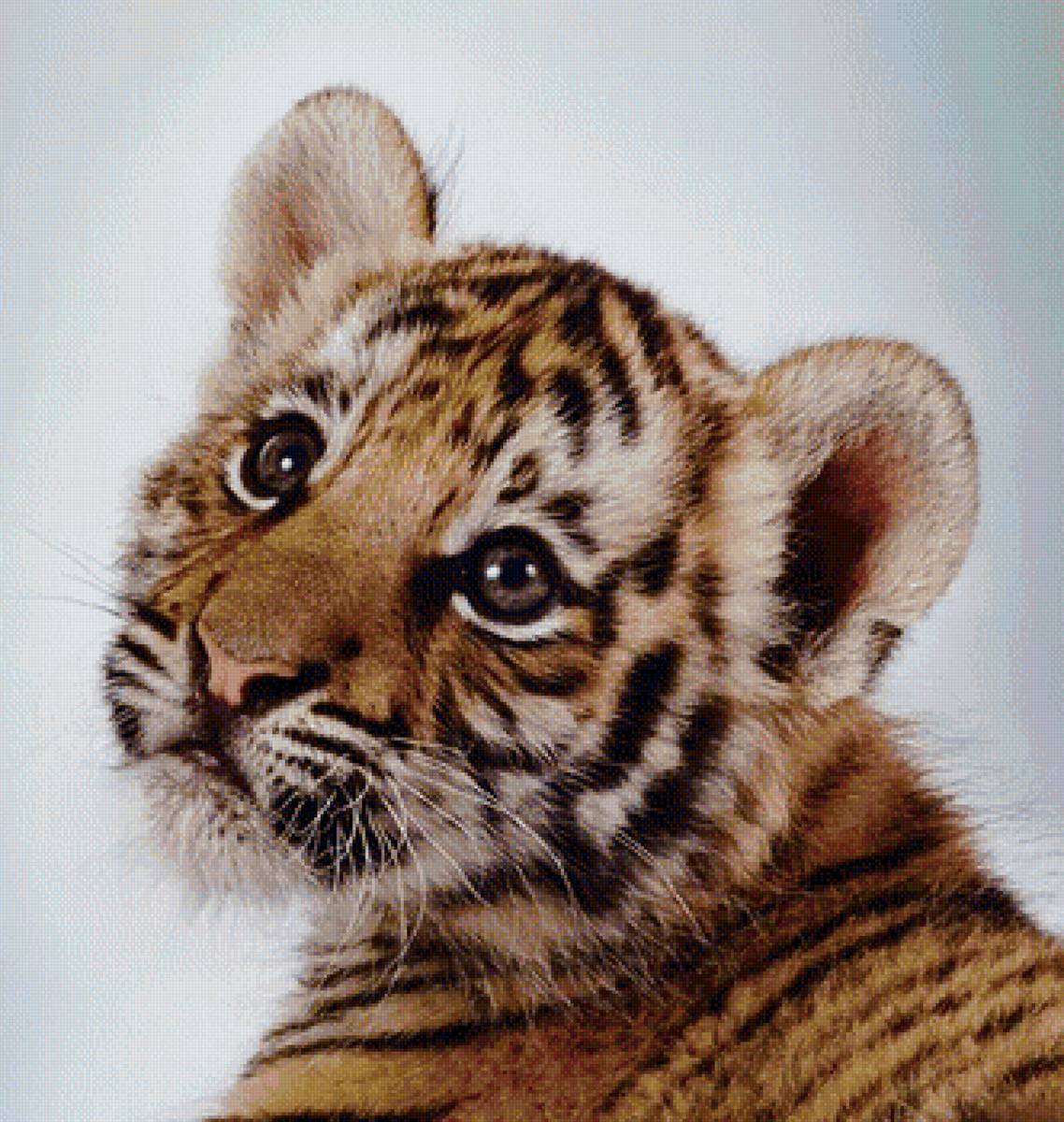 тигрулька - предпросмотр