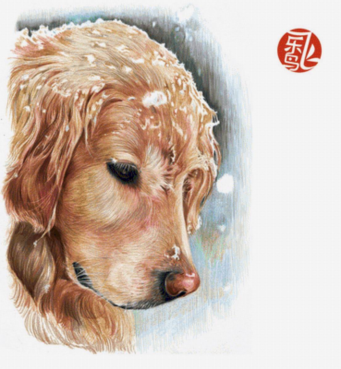 №1310467 - предпросмотр