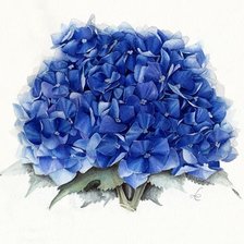 Схема вышивки «№1310481»