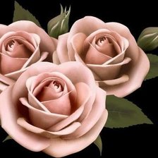 Оригинал схемы вышивки «№1310692»