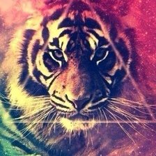 Схема вышивки «Цветной тигр»