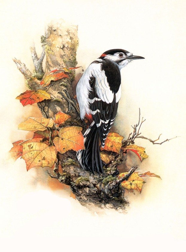 №1310870 - оригинал