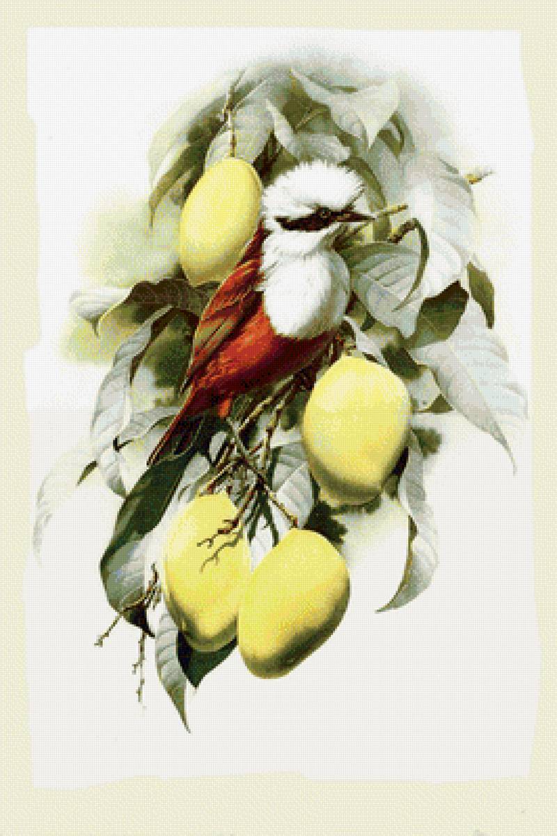 №1310874 - предпросмотр