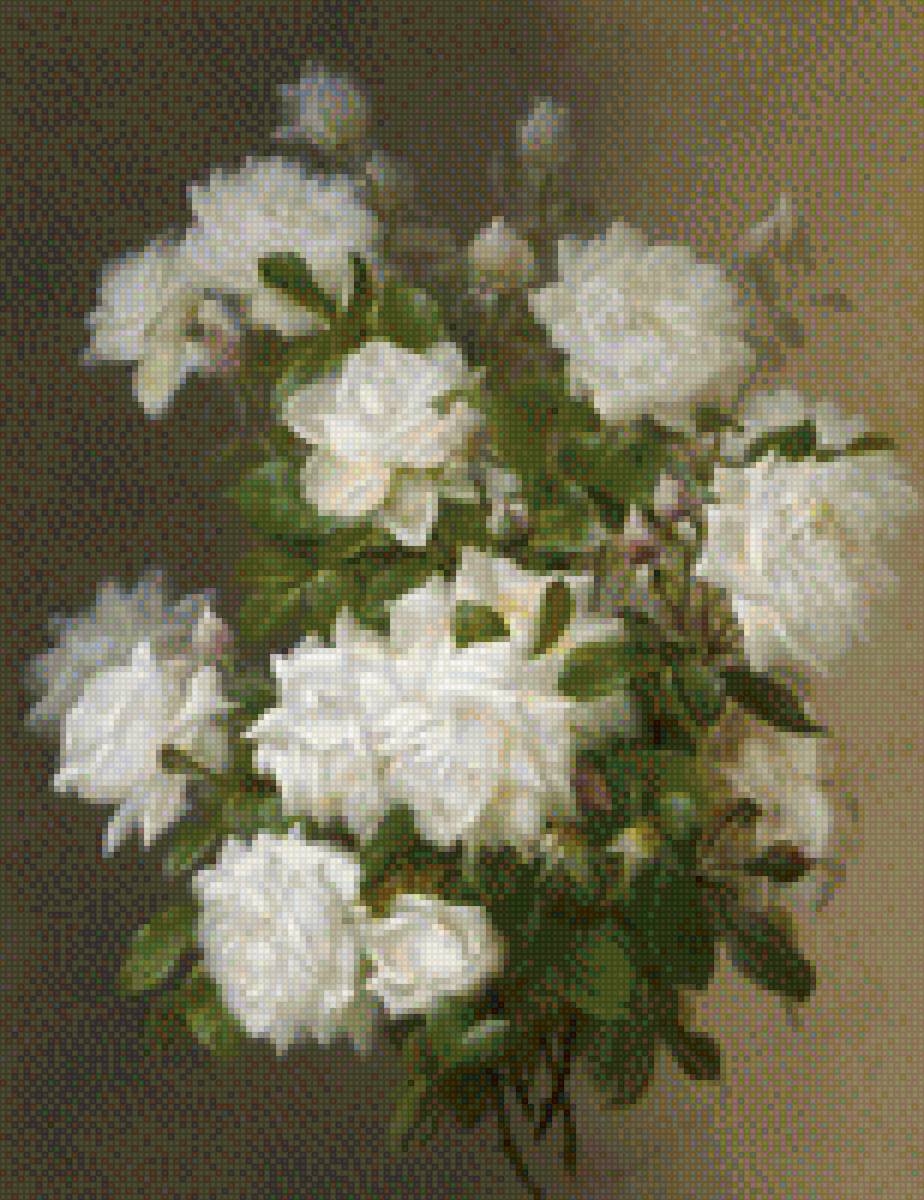 Белые розы - букет, розы, цветы - предпросмотр