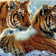 Схема вышивки «тигры»