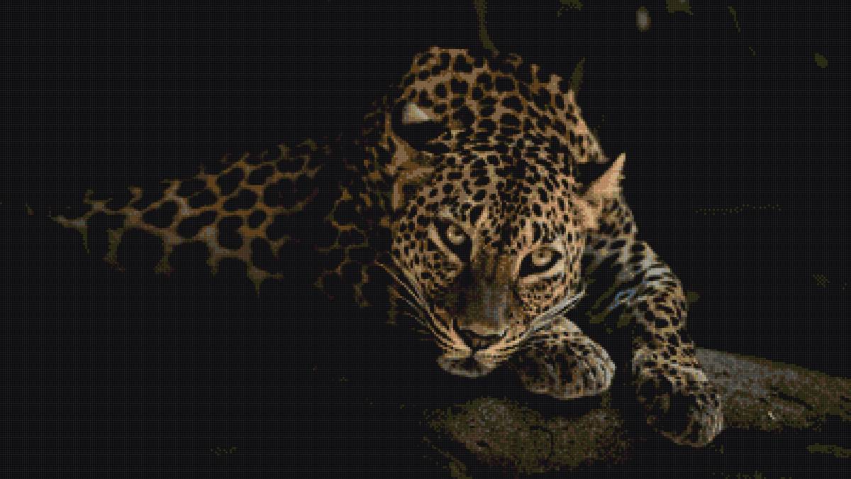 кошка - предпросмотр