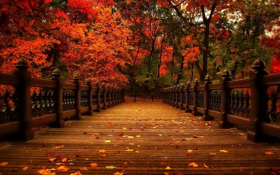 мост - мост, осень, парк - оригинал
