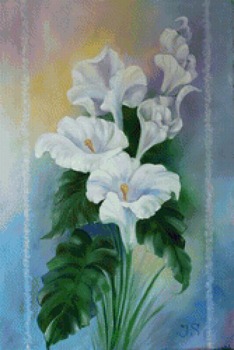 Каллы - каллы, цветы - предпросмотр