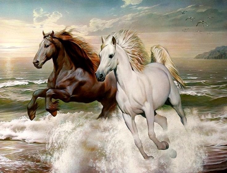 Пара лошадей - море, он и она, пара, лошади - оригинал