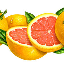 Грейпфрут