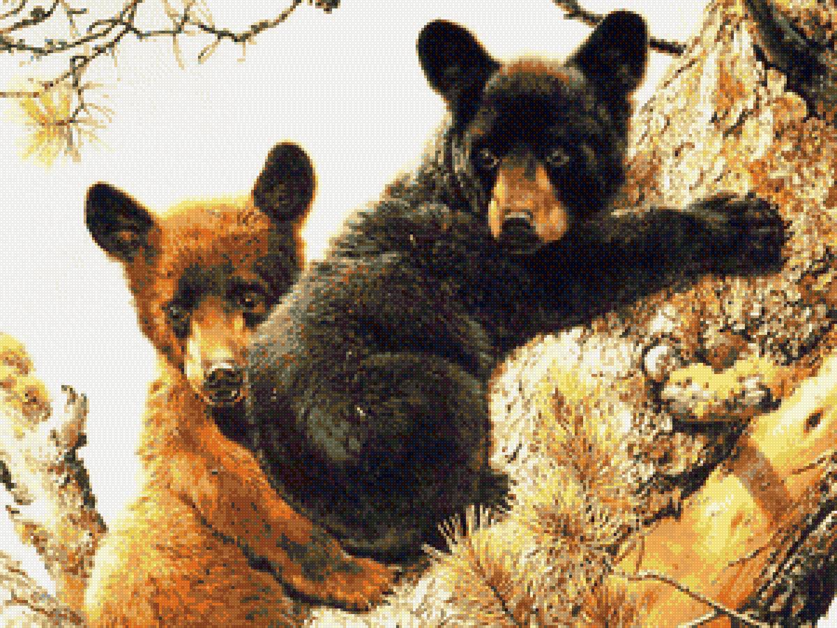 мишутки - предпросмотр