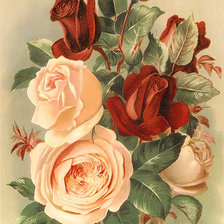 Оригинал схемы вышивки «Розы» (№1312111)