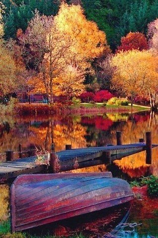 Осень - деревья, природа, пейзаж, вода - оригинал