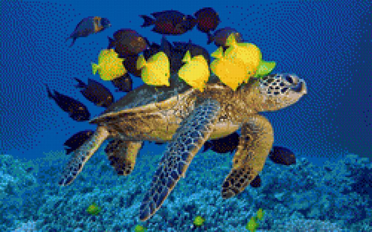 в морских глубинах - черепаха, фауна, море - предпросмотр