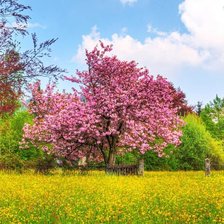 Схема вышивки «весна»