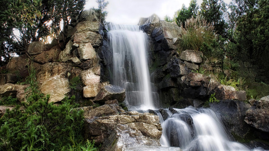 у водопада - водопад, лето, деревья, природа - оригинал