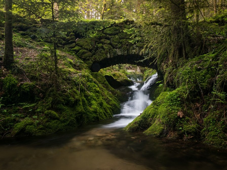 ручей в лесу - вода, природа, лес - оригинал