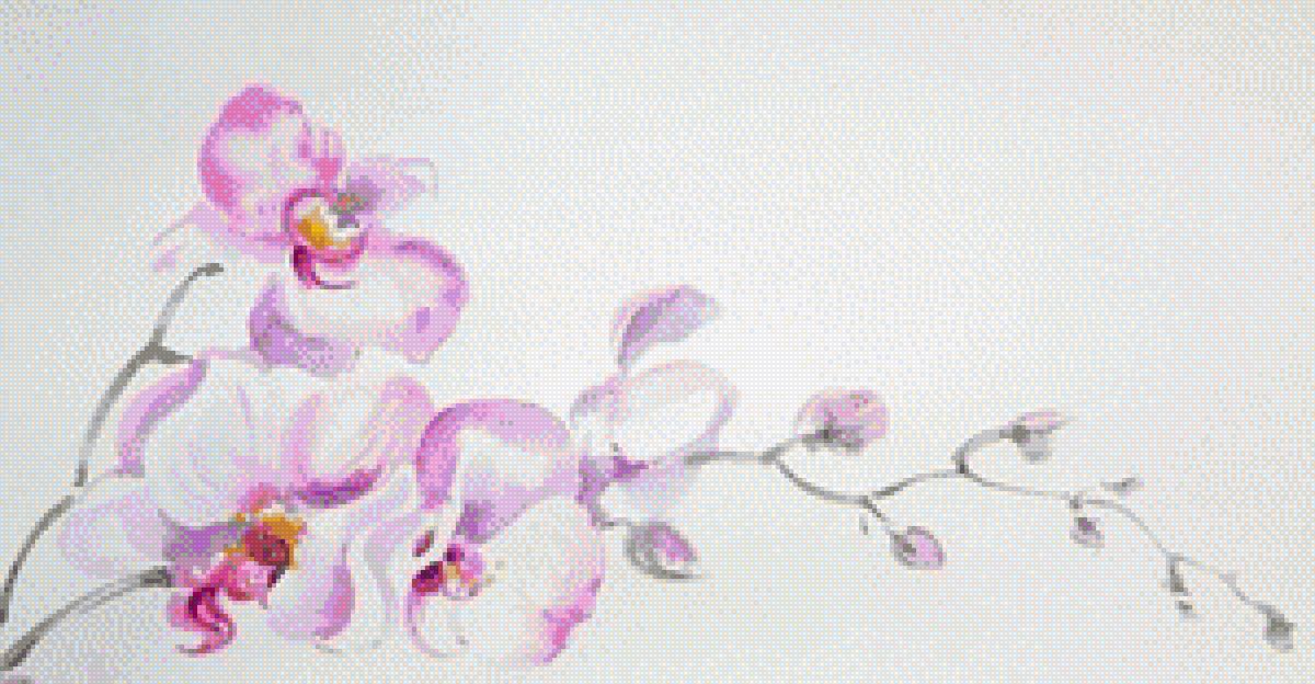 Орхидея. Акварель - орхидея, цветы, акварель - предпросмотр