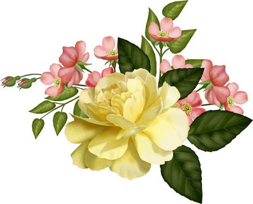 žltá ruža - оригинал