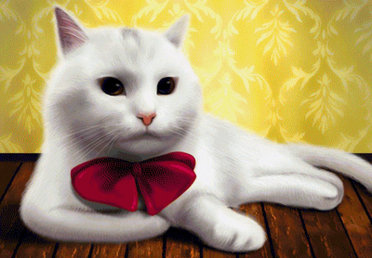 Кошечка с бантиком. Кот с бантом. Кошка белая. Кошка с бантиком. Белая кошечка с бантиком.